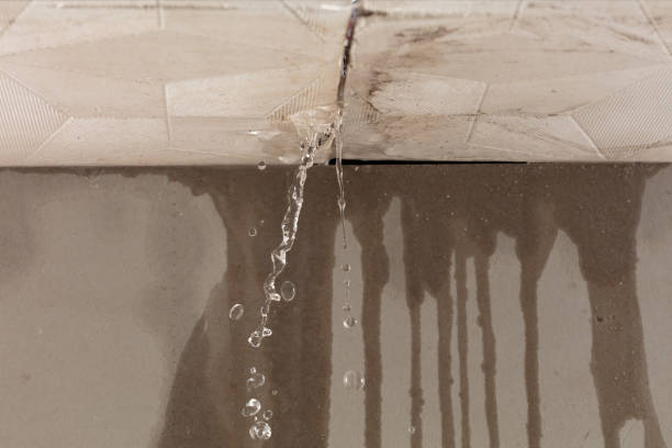 Professional Structural Drying technician working in Scotland, SD